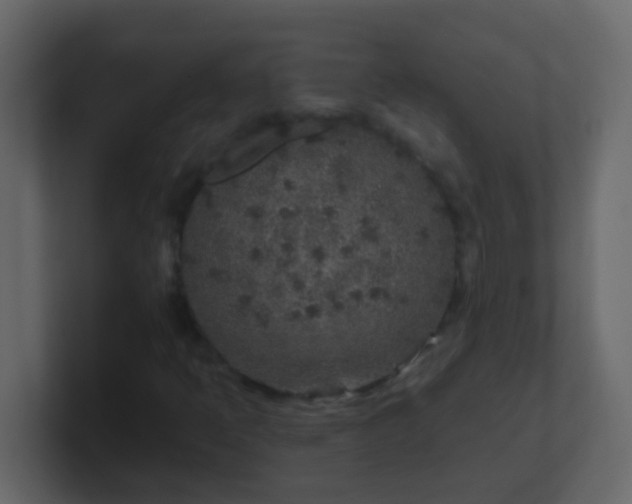 X0000101111397200807101459