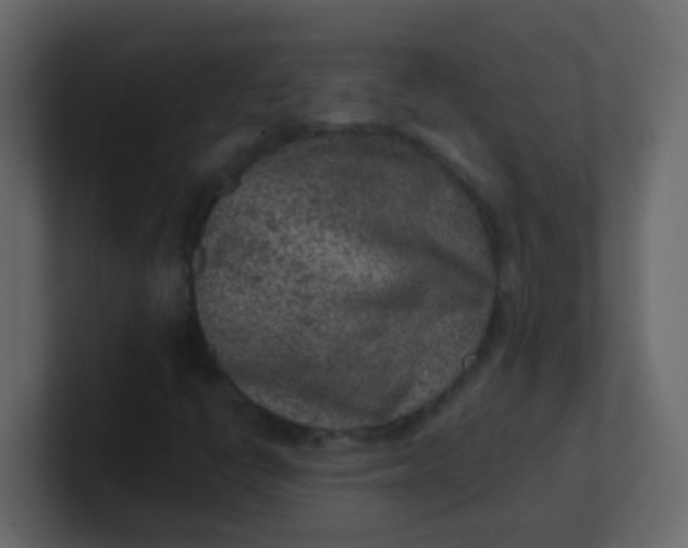 X0000101111398200807101459