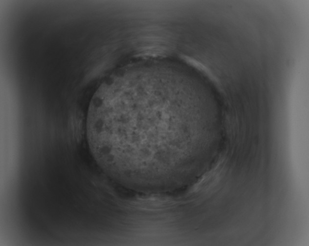 X0000101111399200807101459