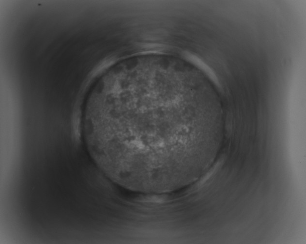 X0000101111411200807101459