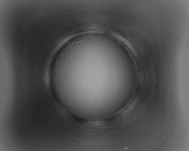 X0000101111415200807101459