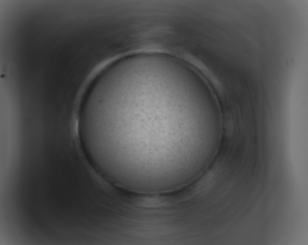 X0000101111416200807101459