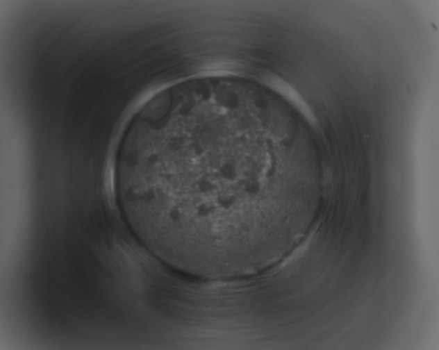 X0000101111419200807101459