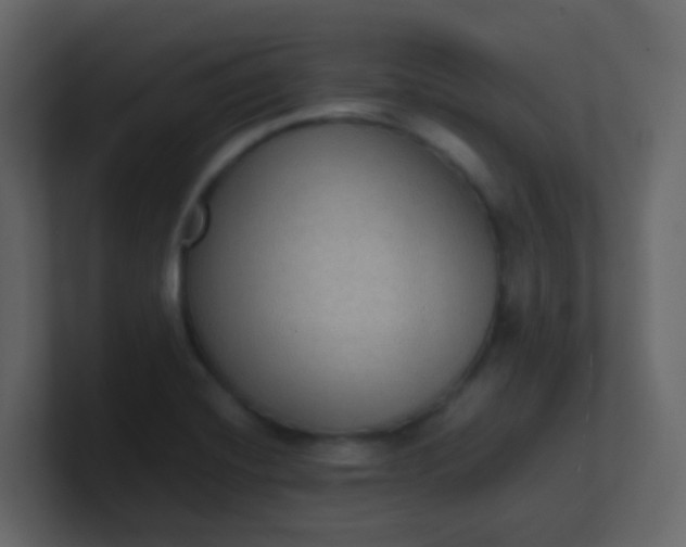 X0000101111420200807101459
