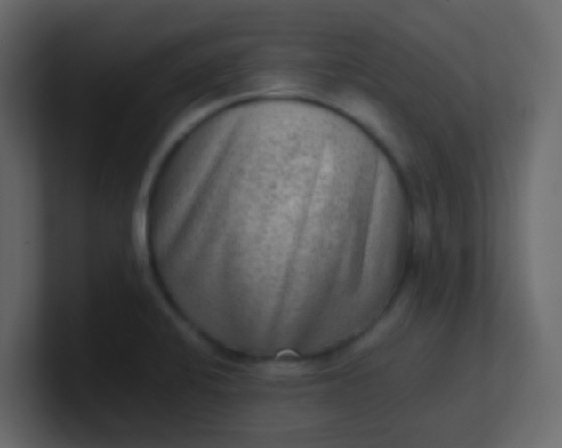 X0000101111424200807101459