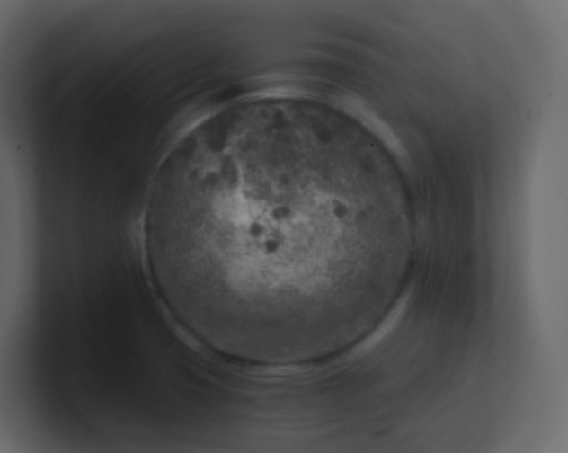 X0000101111425200807101459