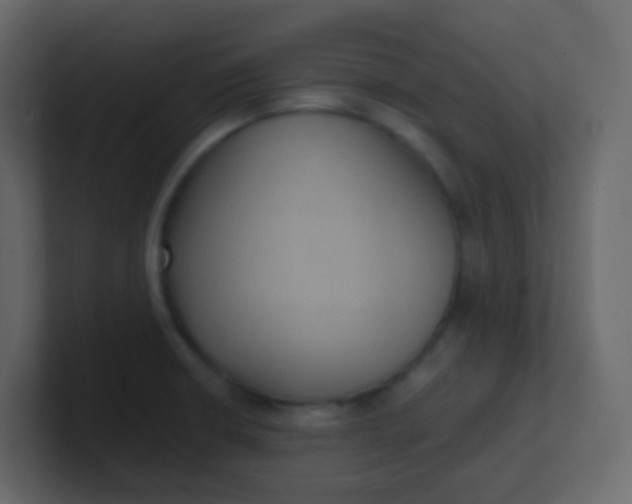 X0000101111426200807101459