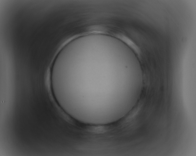 X0000101111431200807101459
