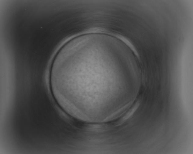 X0000101111438200807101459