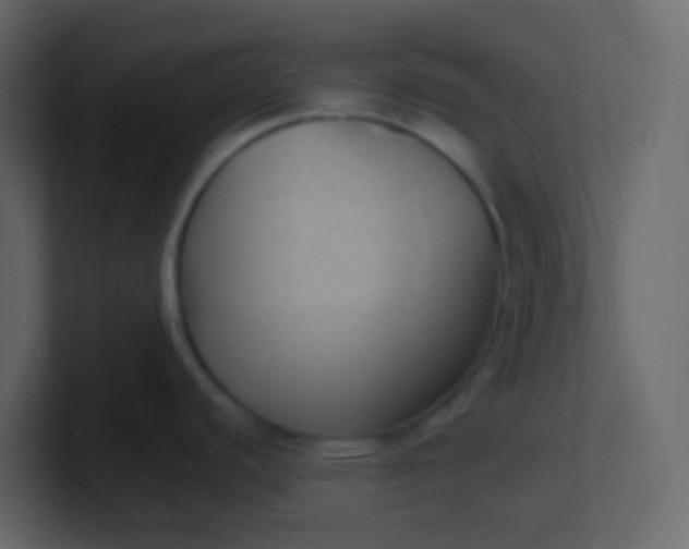 X0000101111440200807101459