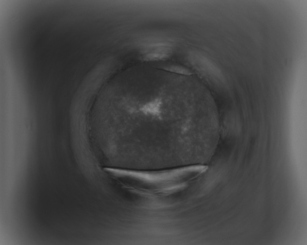 X0000101111441200807101459