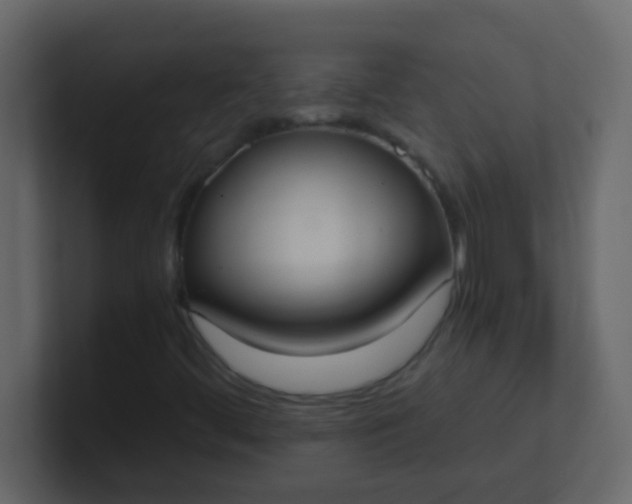 X0000101111444200807101459