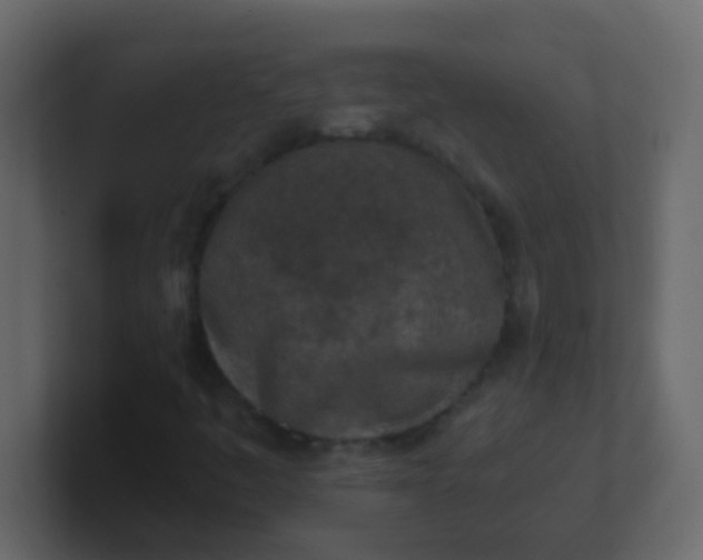 X0000101111445200807101459