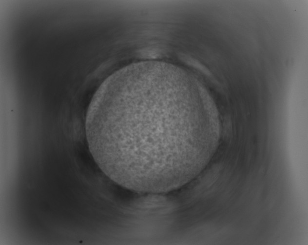 X0000101111446200807101459
