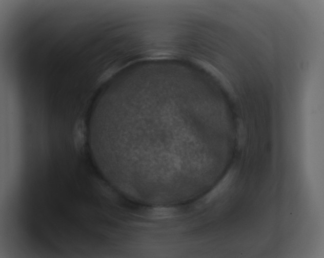 X0000101111449200807101458