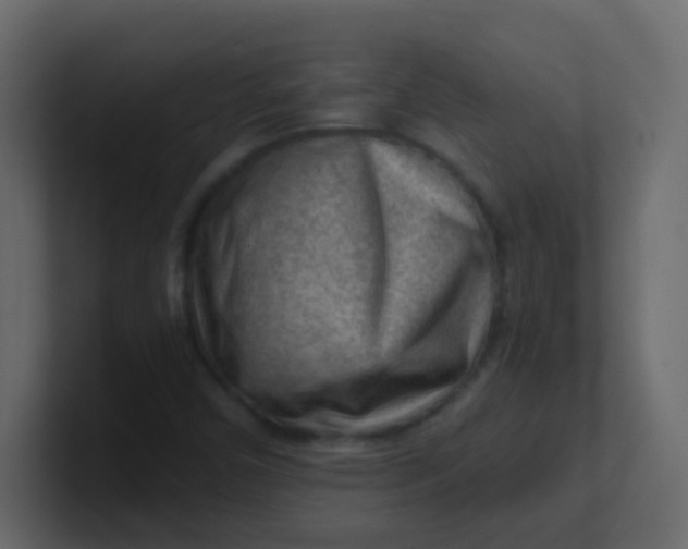 X0000101111450200807101458