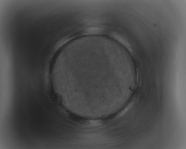 X0000101111453200807101458