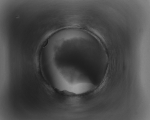 X0000101111455200807101458