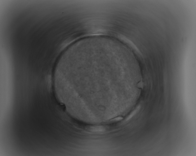 X0000101111457200807101458
