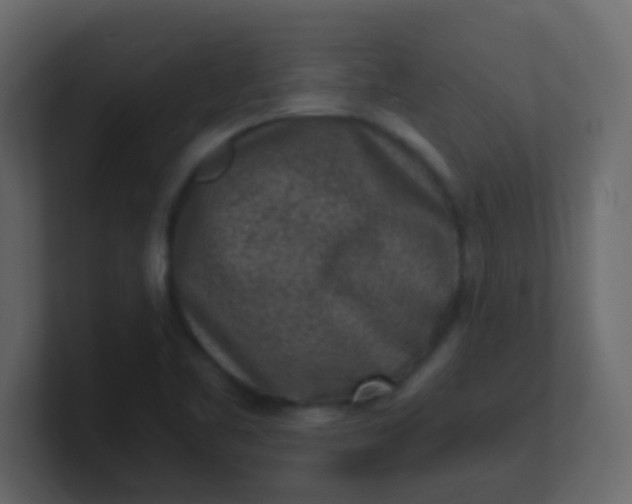 X0000101111461200807101458