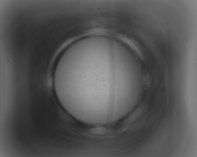 X0000101111462200807101458