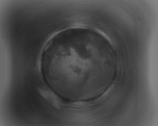 X0000101111463200807101458