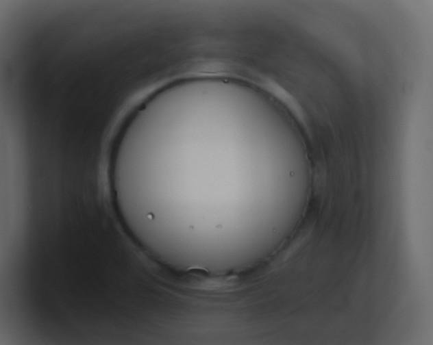 X0000101111464200807101458