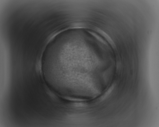 X0000101111465200807101458