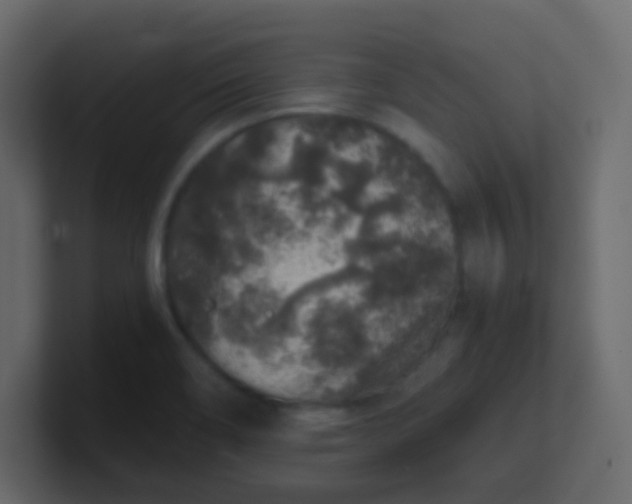X0000101111466200807101458
