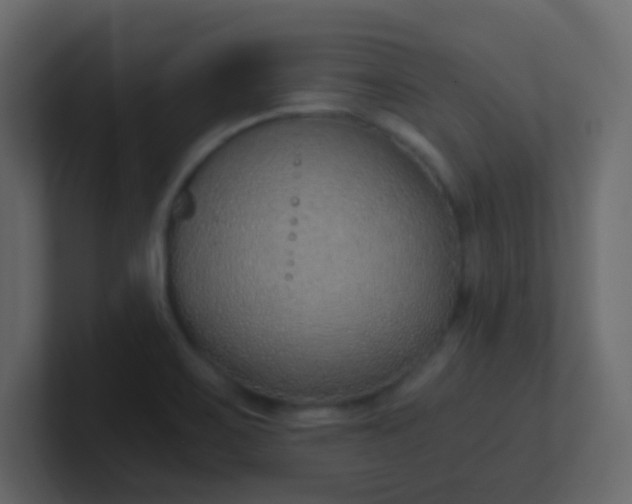 X0000101111467200807101458