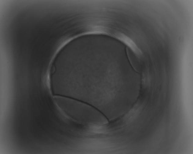X0000101111468200807101458