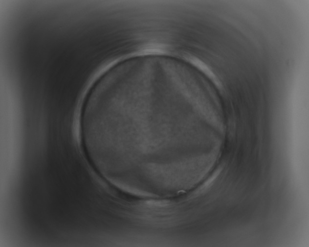 X0000101111469200807101458