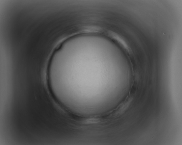 X0000101111471200807101458