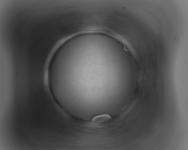 X0000101111472200807101458