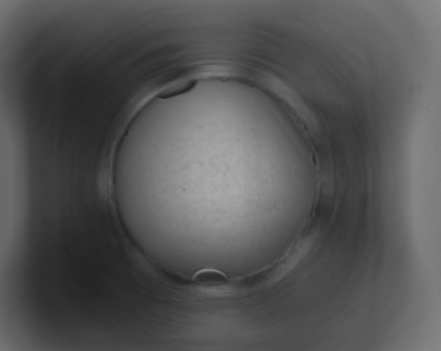 X0000101111473200807101458