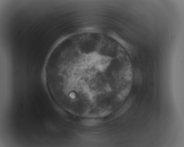 X0000101111474200807101458
