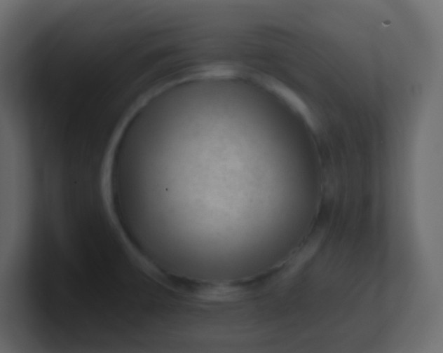 X0000101111475200807101458