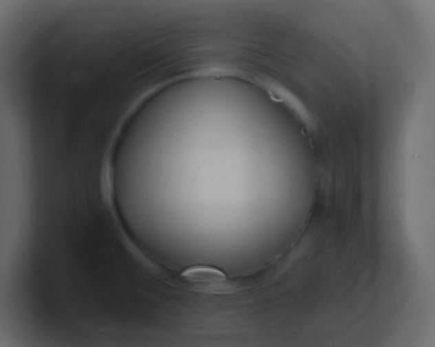 X0000101111476200807101458
