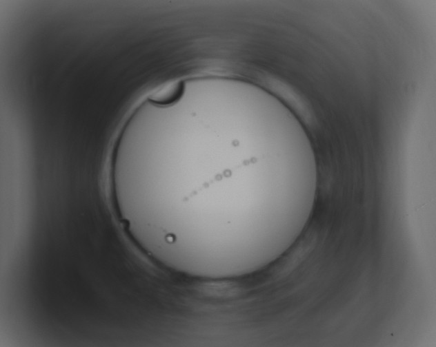X0000101111479200807101458