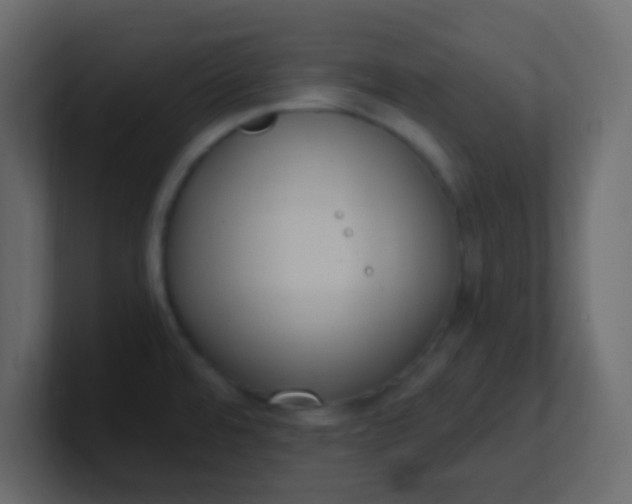 X0000101111480200807101458