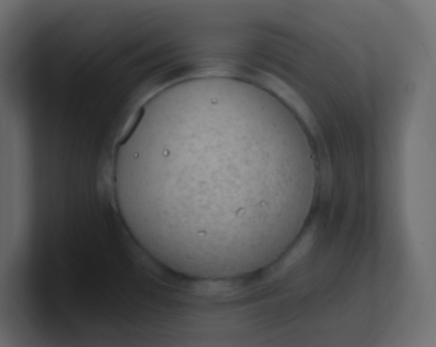 X0000101111481200807101458