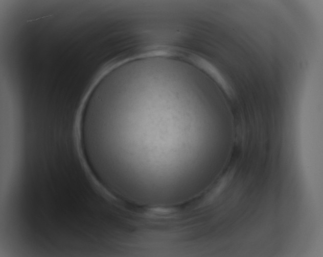 X0000101111483200807101458