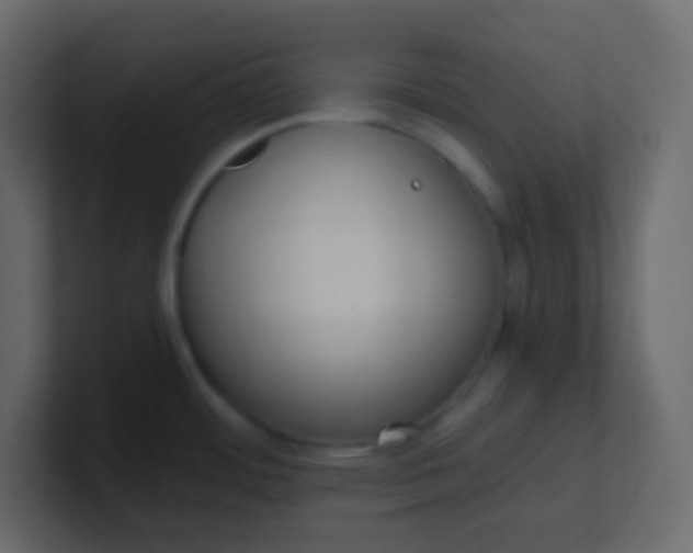 X0000101111484200807101458