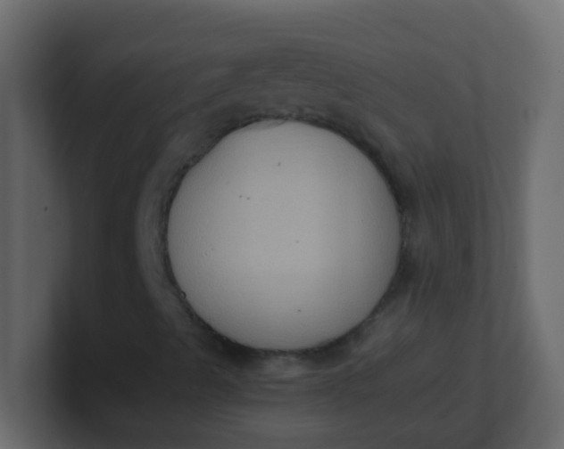 X0000101111489200807101457