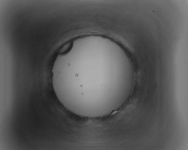 X0000101111496200807101457