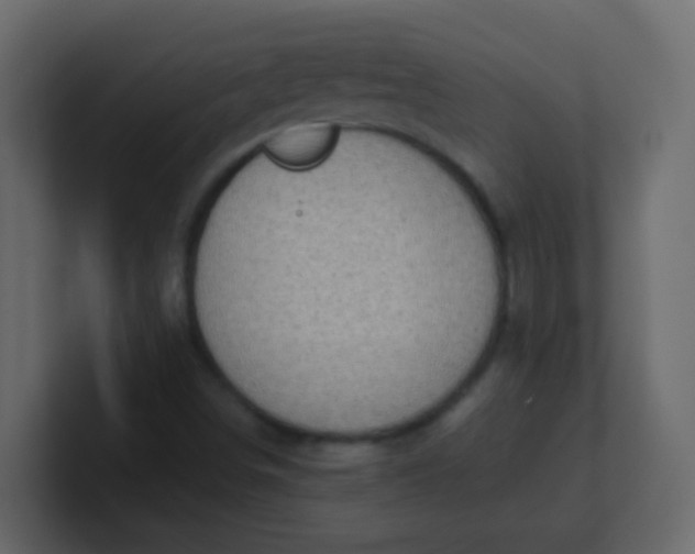 X0000101111498200807101457