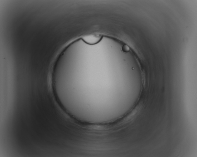 X0000101111500200807101457