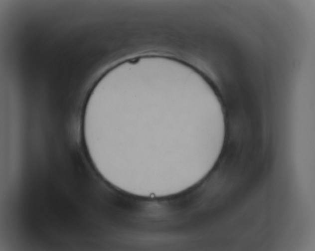 X0000101111504200807101457