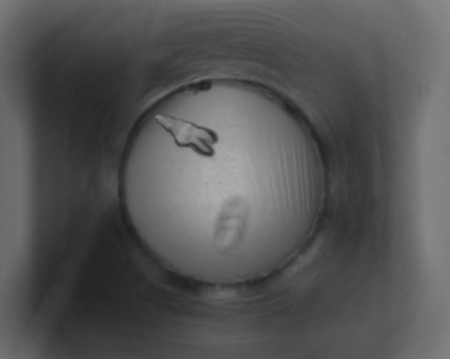 X0000101111505200807101458