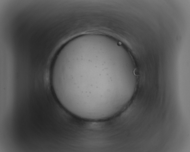 X0000101111506200807101458